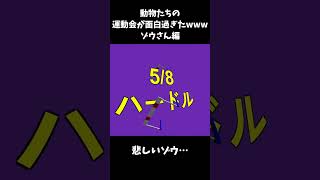 【ヤダー!!】動物たちの運動会が面白過ぎたｗｗｗ【ゾウさん編】