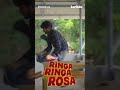 bingo ringa ringa rosa ep 21 22 single watch karikku comedy karikku comdey shorts