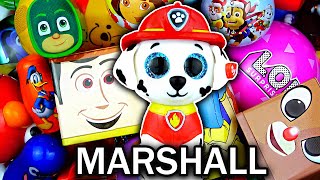 101 CHARACTERS from PJ Masks, Mickey Mouse Clubhouse, Paw Patrol, Moana, Toy Story, Trolls, Frozen