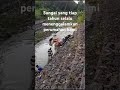 sungai kecil ini tiap tahun menenggelamkan perumahan kami RSS Sriwijaya OKU Sumsel