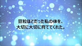 お母さん、生んでくれてありがとう。