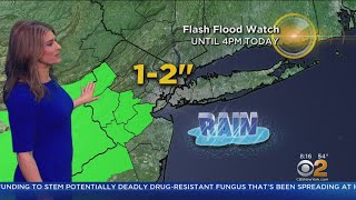 New York Weather: Sunday Soaker