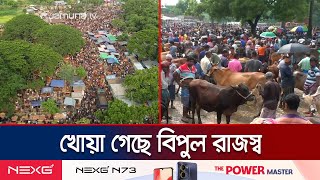 গরুর হাটে শত কোটি টাকার রাজস্ব ফাঁকি দিয়েছে আওয়ামী লীগ নেতারা | Chuadanga | Animal Hat | Jamuna TV