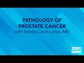 Pathology of Prostate Cancer — 2023 ZERO Prostate Cancer Summit