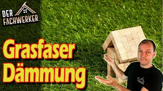Dämmstoff Grasfaser - Eine echte Konkurrenz für Holzfaser?