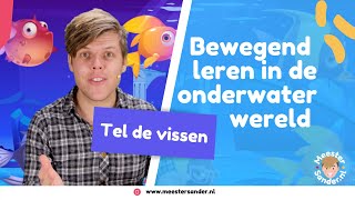 Tel de vissen in de onderwaterwereld - Bewegend leren met meester Sander