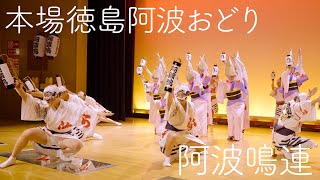 【阿波踊り2024・阿波鳴連】 本場徳島阿波おどり | Awaodori in Tokushima Japan