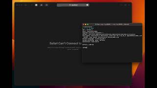 simplest web server with netcat