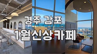 경주 감포 대형신상카페(25년1월) #아레나피나