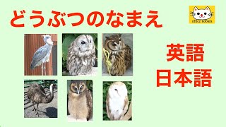 英語　子供向け★動物の名前9★日本語と英語★name of animals in English★Japanese