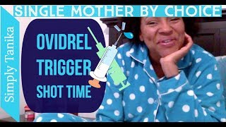 Time to Inject My hCG Trigger Shot | 2nd IUI | Ovidrel Injection