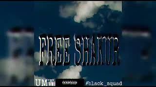 Black ziz - free shakur (audio officiel)