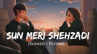 Sun Meri Shehzadi - New Version | Ashwani Machal | Slowed And Reverb | Lofi Songs | Lofi Vibes