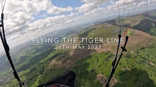 Flying the Tiger Line!