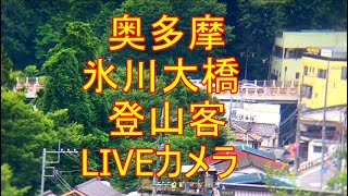 【2023/07/24　2】奥多摩 氷川大橋 ライブカメラ/tokyo okutama-hikawa-bridge Live Camera　左下緑のボタンをクリックすると他のLive動画配信してます。