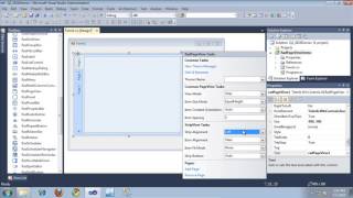 Getting Started With RadPageView
