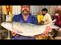 KASIMEDU 🔥 SPEED SELVAM | KENDAI FISH CUTTING VIDEO | IN KASIMEDU | FF CUTTING 🔪