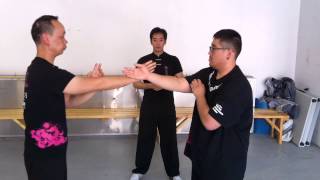 Wing Chun Techniques   Bong Sau Instructional Video