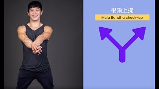 根鎖上提：Mula bandha check up