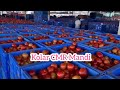 kolar tomato market rates today tomato price today tomato rates agriculture