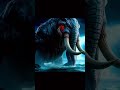 Mind Blowing Hybrid Creatures You Won't Believe Exist in 2024 #WildWondersTV #elephant #Seal #snake