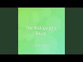 The Biology of a Blush
