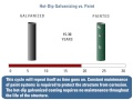 Hot-Dip Galvanizing vs Paint