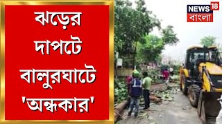 Balurghat News : ঝড়ে গাছ উপড়ে পড়ে বিদ্যুতের তারে, ঝড়ের দাপটে বিদ্যুৎ বিভ্রাট বালুরঘাটে