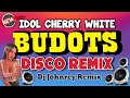 Idol Cherry White Budots Remix - Disco Mix 2024 - Dj Johnrey