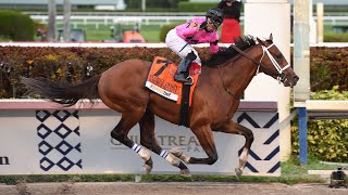 “Maximum Security” Disqualified From Winning Kentucky Derby As Country House Wins