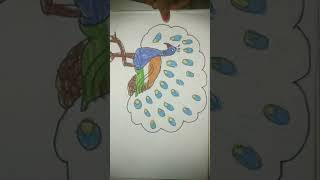 #Republic day drawing||#independence day scenery drawing#national bird peacock drawing step by step