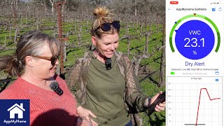 Using Soil moisture meter \u0026 temp sensor at Rancho Roble Vineyards - Zynect Soilmote \u0026 Thermote