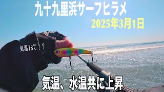 海況、釣行記録【千葉県九十九里浜サーフヒラメ狙い】2025年3月1日