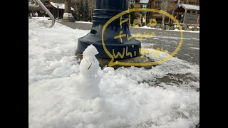 【カナダ留学】Whistlerに行ってきた！