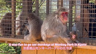 I went to the monkey park in Kyoto, which is popular with foreign tourists京都嵐山/モンキーパークいわたやま/観光名所