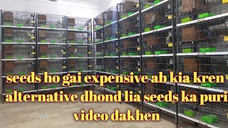 seeds expensive ho gai ha ab kia kren | alternate dhond lia puri video complete dakhen