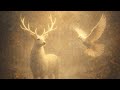 My Sabr – Emotional Islamic Song About Patience | English Nasheed