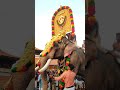 ചെത്തല്ലൂർ മുരളികൃഷ്ണൻ chethalloor muralikrishnan @ panthalloor aanapremi pooram keralaelephants