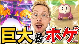 キョダイ！？ホゲータ！色違い！XXL！！100％！！！！いきなり100ダッシュ！？【ポケモンGO】