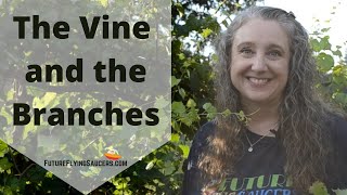 BIBLE OBJECT LESSON Vine and Branches