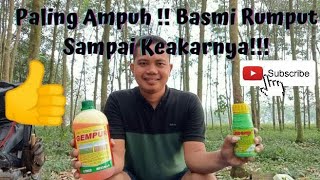 Obat Pembasi Rumput Sampai Akar Paling Ampuh Dengan Gempur dan Lindomin