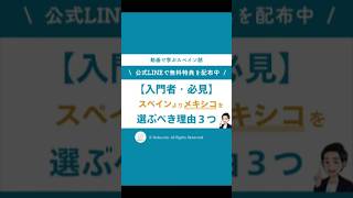 【入門者必見】メキシコのスペイン語の方が簡単な3つの理由 #メキシコ