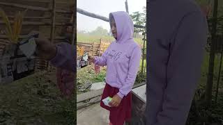 ছোটু, এই নিয়ে চিপস😄😄😄😃#shorts 😂😂😂😂#funnyvideo