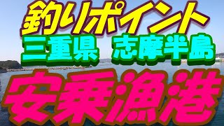 【三重県釣りポイント】志摩半島、安乗漁港を簡単にご紹介です！ファミリーフィッシングにもおすすめです！2021年2月下旬