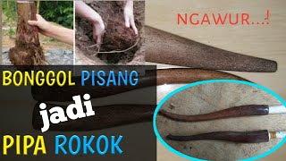 Bonggol Pisang jadi pipa rokok