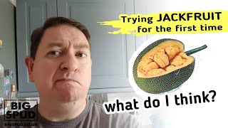 What does jackfruit taste like?