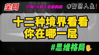 十二种境界看看你在哪一层#搞钱才是王道 #如何成为赚钱高手 #认知觉醒 #干货分享 #赚钱思维