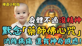 不可思議！每天只要默念一遍此咒，治愈不仅消除疾病身体还有如此神奇的变化，連佛菩薩都羨慕！一定要試一試！|禪語小和尚 #佛教 #正能量 #健康