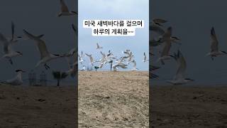 미국 태평양 바닷가의 넘치는 젊음과 새벽의 활기 #새벽바다 #미국일상 #미국생활