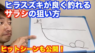 【ヒラスズキの釣り方】沈み根とサラシ両方を利用して狙え！